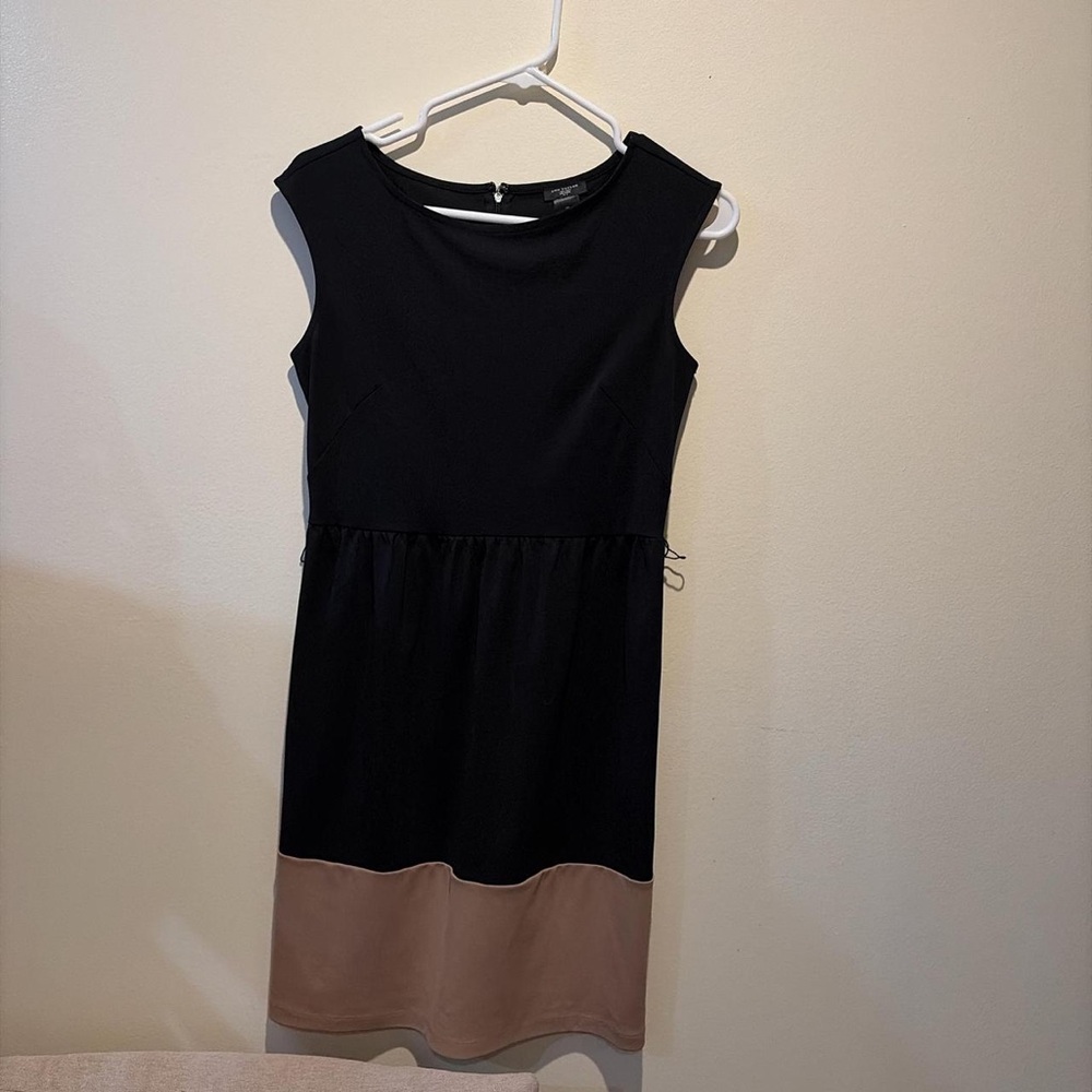 Ann Taylor Black and Brown Midi Dress
